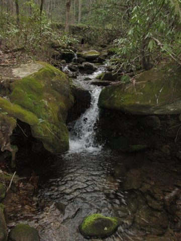 Trickle - panoramio (1)