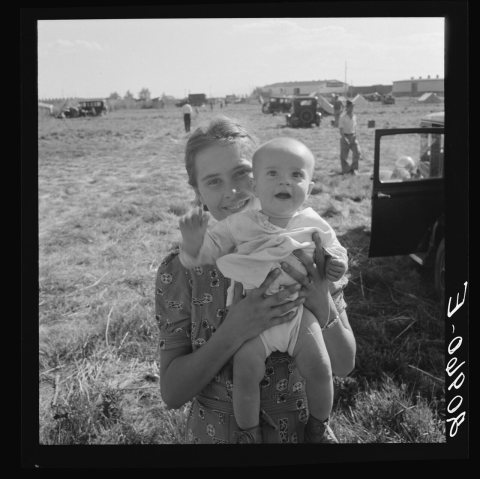 Migrant potato pickers, Tulelake, Siskiyou County, California, 8b34817