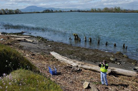 Inspecting a Sacramento River levee