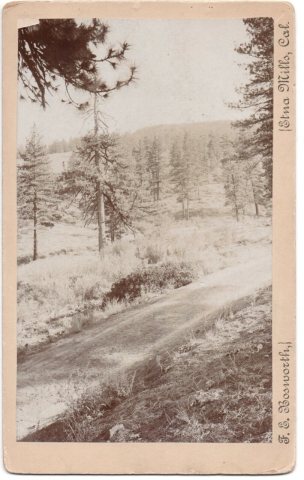 F. E. Bosworth Boudoir Cabinet Card of Etna Mills, Cal. front