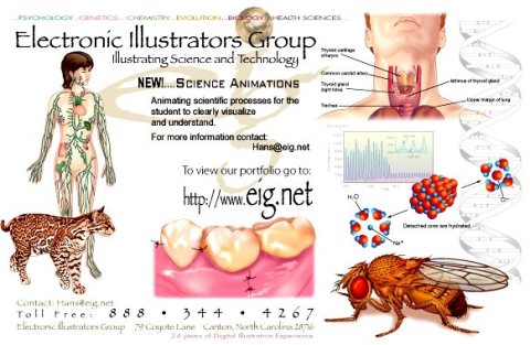 Electronic Illustrators Group