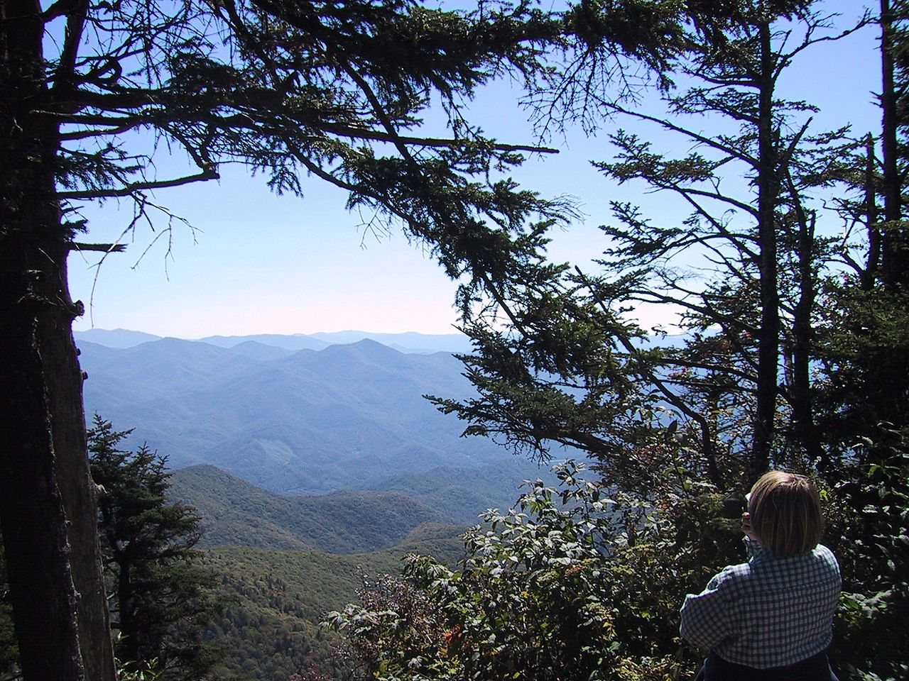 WaterRock Knob Smoky Mts. NP Top