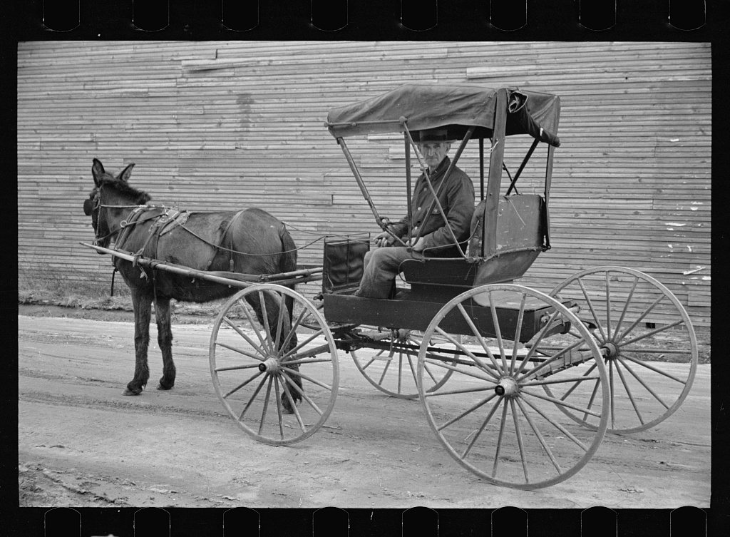 Native and buggy