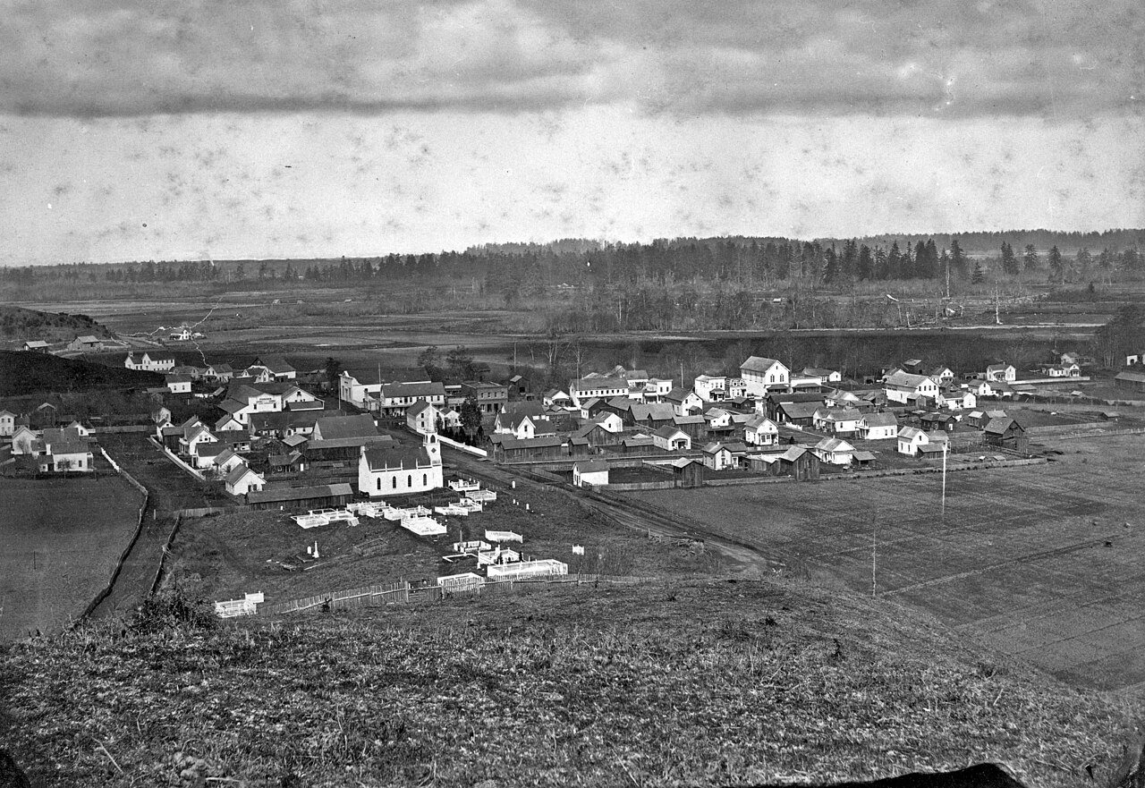 Ferndale from Cemetery 1883