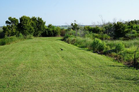Bird rail Emerald Isle boat ramp KG (7)