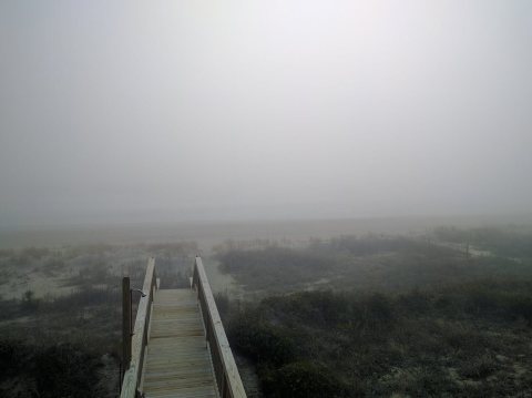 Foggy beach on