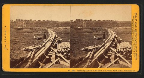 Conveying Lumber to the Coast, in a Flume, Point Arrina, Mendocino Co.Alternate Title: No. 1299