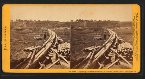 Conveying Lumber to the Coast, in a Flume, Point Arrina, Mendocino Co.Alternate Title: No. 1299