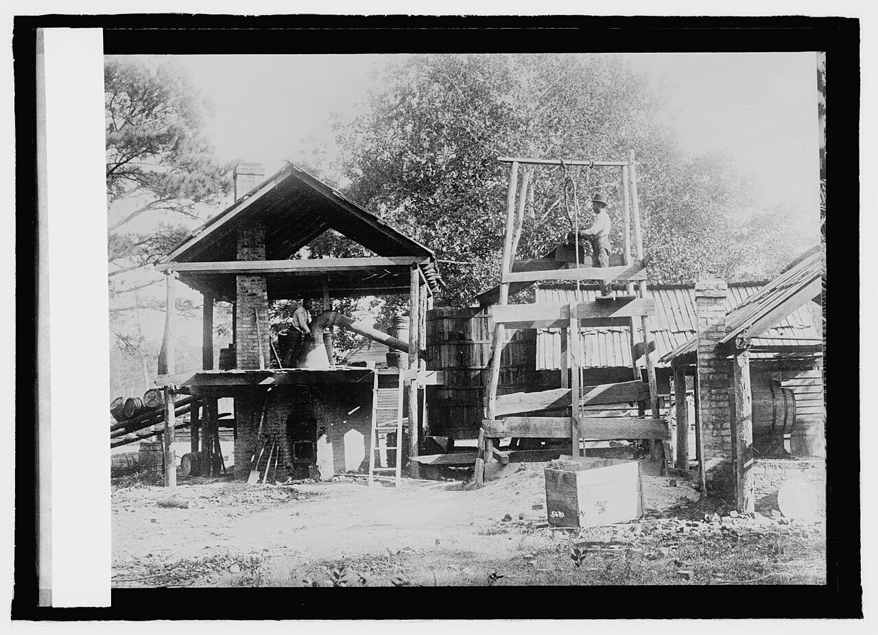Turpentine farm, Clinton, N.C