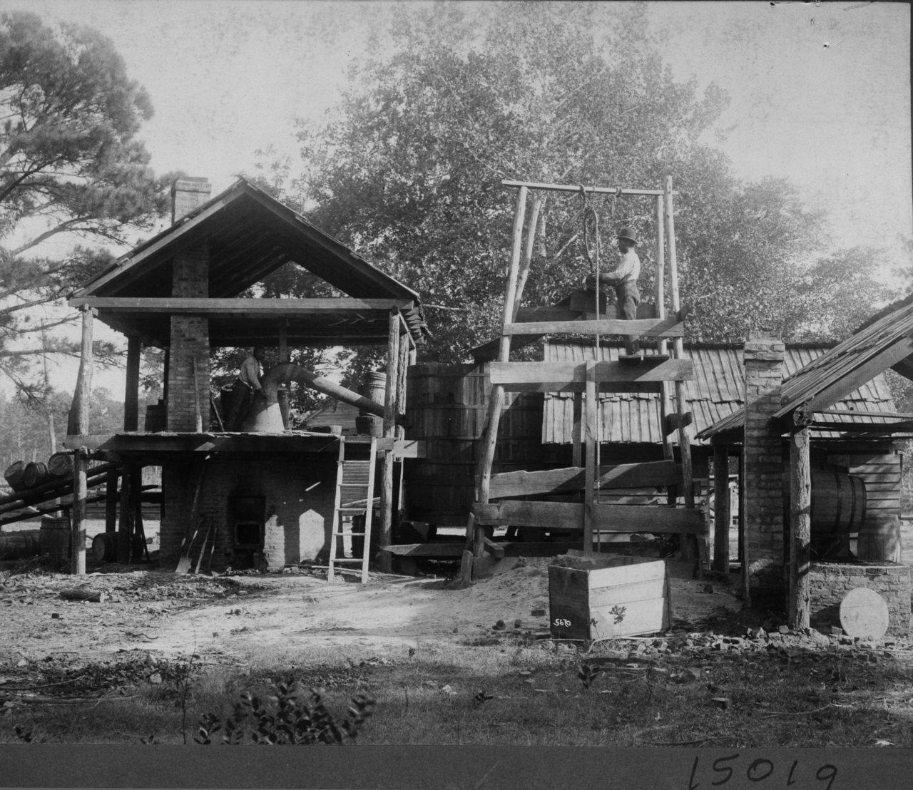 1890XXXX-FS-North Carolina-GSW-015019