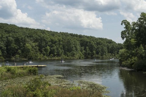 Paddleboating on a lake at the North Carolina Zoo
