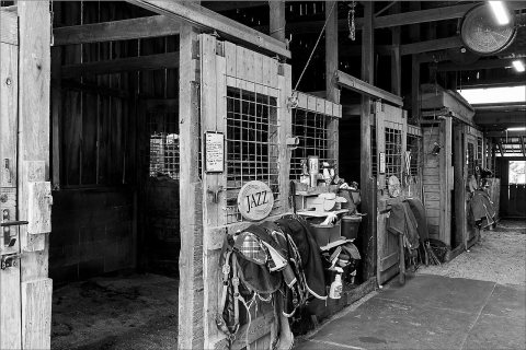 Briar Patch Farm - Flickr - BillMcMannis
