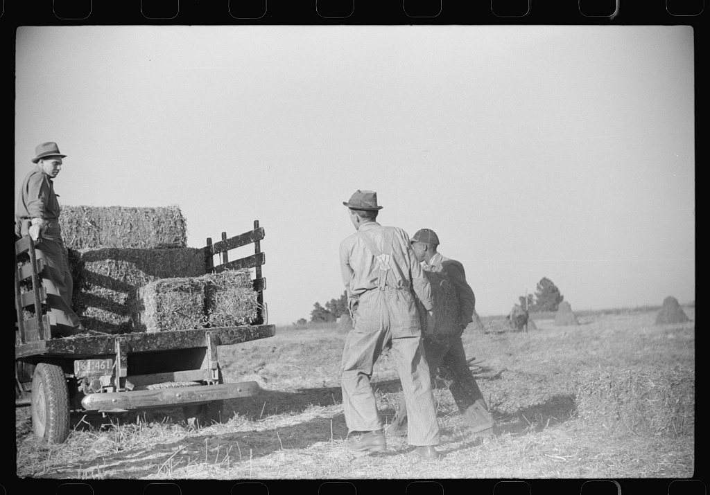 Untitled photo, possibly related to: Baling hay on the Mary E. Jones place of about 140 acres. The sons W.E. and R.E. J…