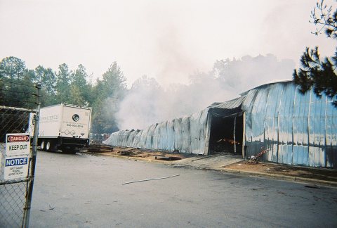Untitled photo