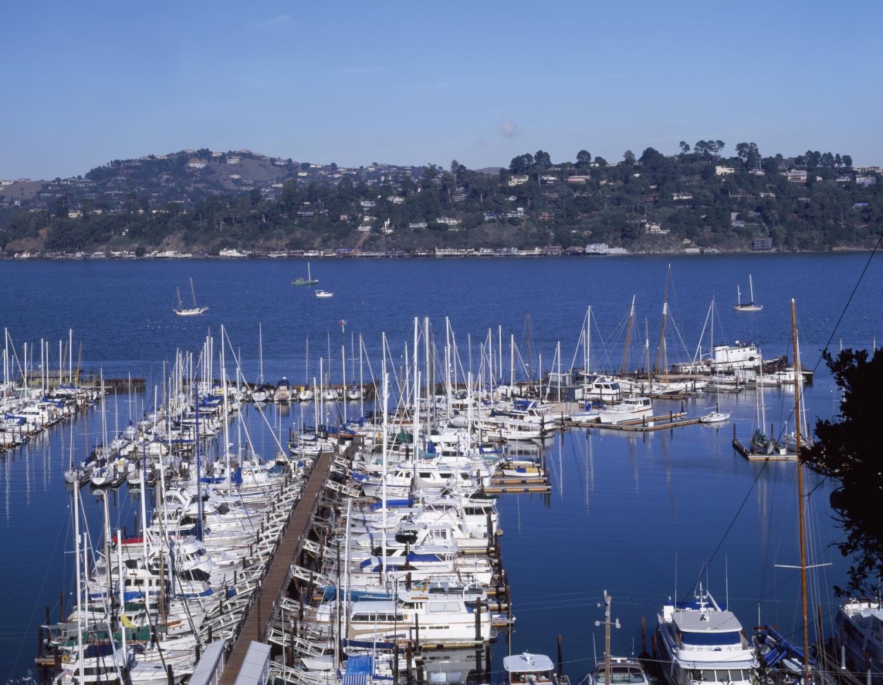 Sausalito Harbor in Marin County, across the Golden Gate straits from San Francisco, California