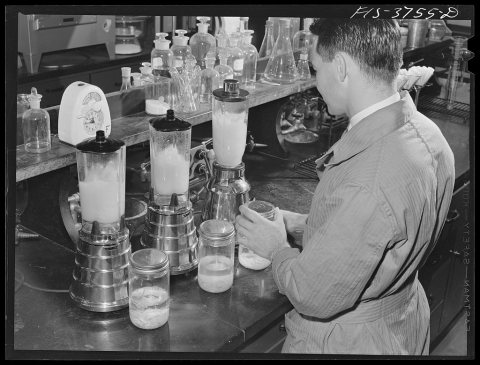 Preparing samples for vitamin C determination. Regional agricultural research laboratory