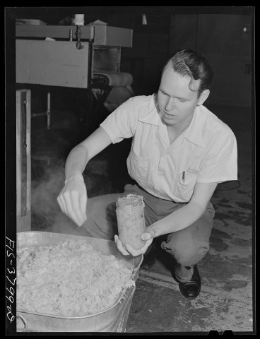Taking sample of precooked cabbage. Regional agricultural research laboratory