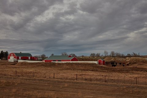Bright-red farm buildings stand out against their late-fall brown surroundings near Ross, North Dakota