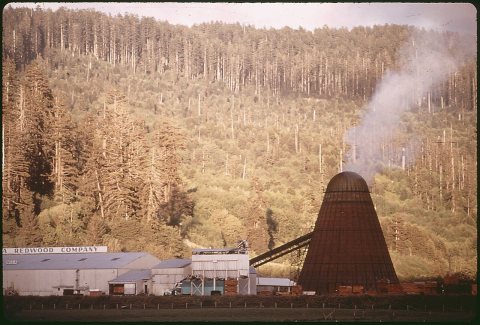 WOODBURNER IN REDWOOD PROCESSING PLANT
