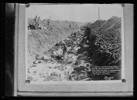 A. Britto and Co. Dairy. The final end of 801 head of livestock. Total time consumed in the destruction of the head was…