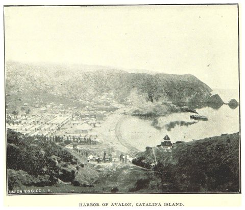 HARBOR OF AVALON, CATALINA ISLAND