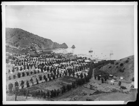 Avalon and harbor, looking over the city toward the sea, Santa Catalina Island, ca.1897-1905 (CHS-224)