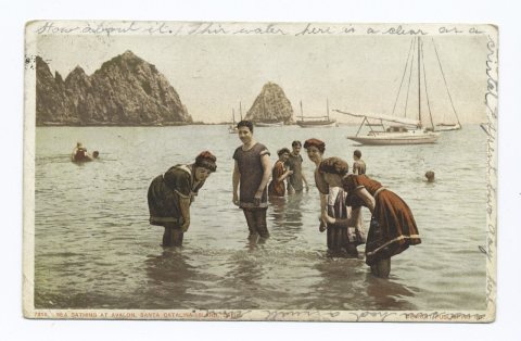 Sea Bathing, Avalon, Santa Catalina, Calif