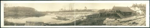 View of Union Lumber Co