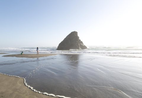 Pacific Ocean views in Northern California [Seaside Beach]