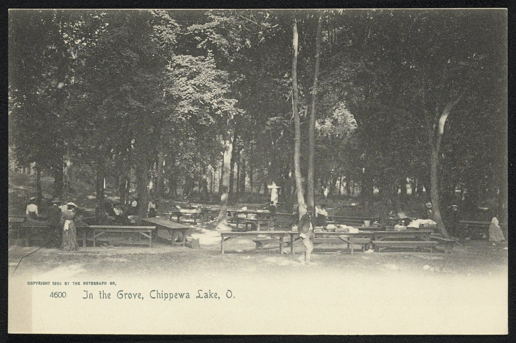 In the Grove