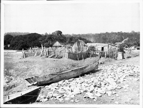 Pacific Grove fishing village near Monterey, ca.1900 (CHS-1841)