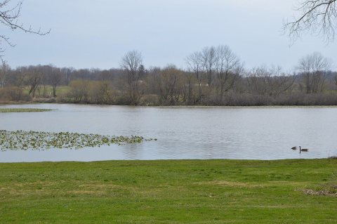 Mud Lake