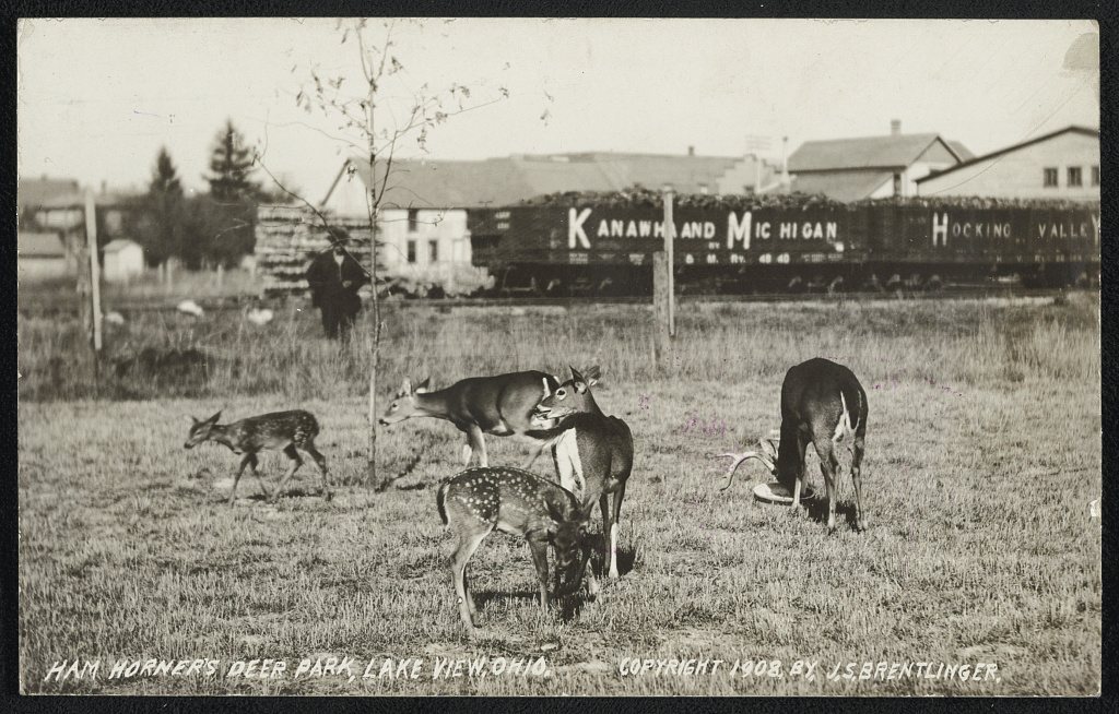 Ham Horner's deer park, Lake View, Ohio