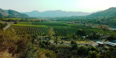 Fillmore, California panorama 1