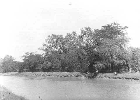 Miami and Erie Canal, Grand Rapids, Ohio (approximately 1900) - DPLA - f5fe3b68ac0501a10f36d7e40dc1a624