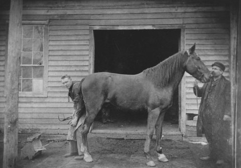 Stevens Blacksmith Shop, Grand Rapids, Ohio (approximately 1900) - DPLA - aa32d418c7bcecb3896536232a5e6c86