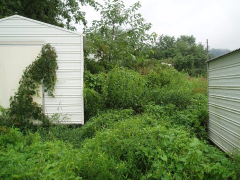Clarington - Leek Property (COAF)