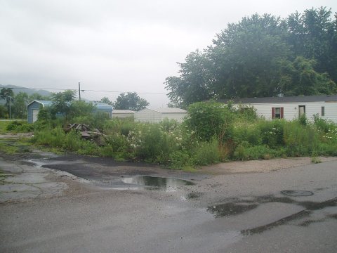 Clarington - Leek Property (COAF)