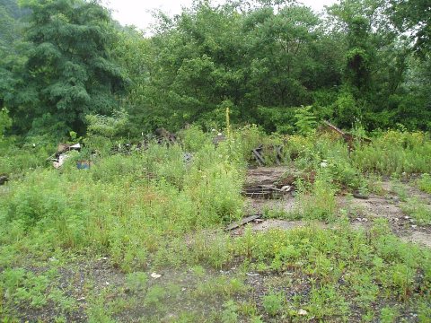 Clarington - Leek Property (COAF)