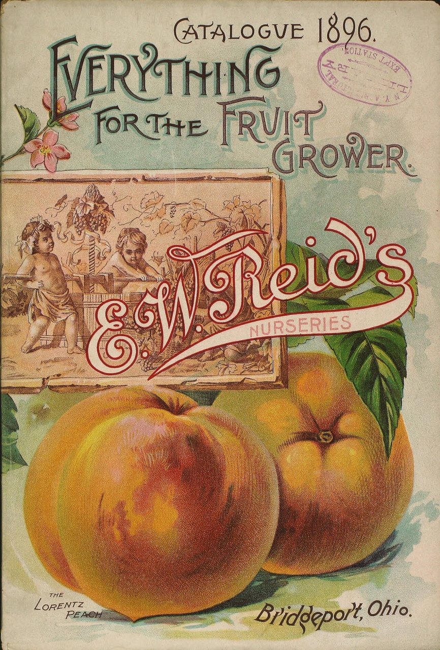 E.W. Reid's Nurseries materials