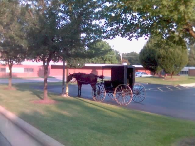 Amish