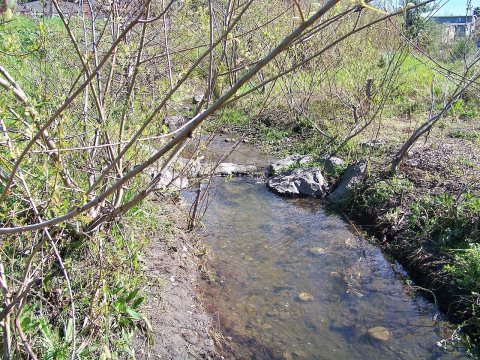 BaxterCreek