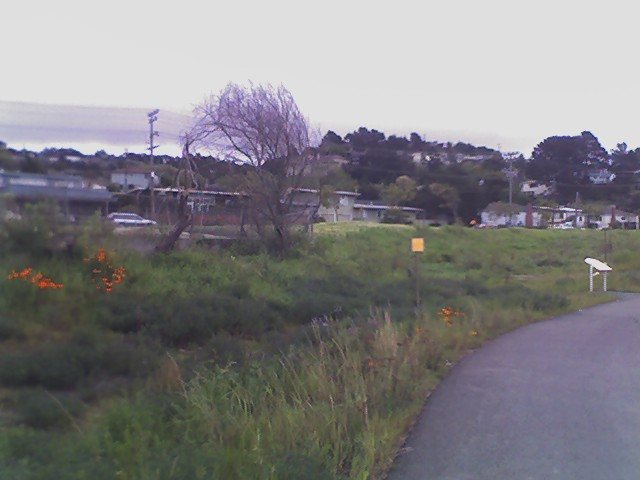 Arroyobaxter