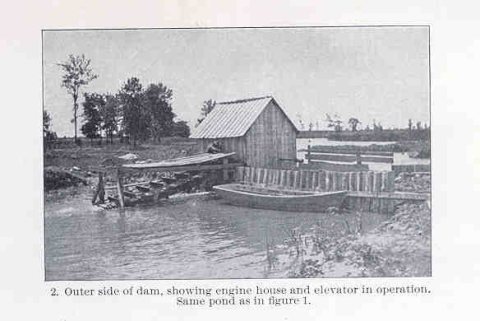 FMIB 33501 Carp Ponds in Lake Erie Region