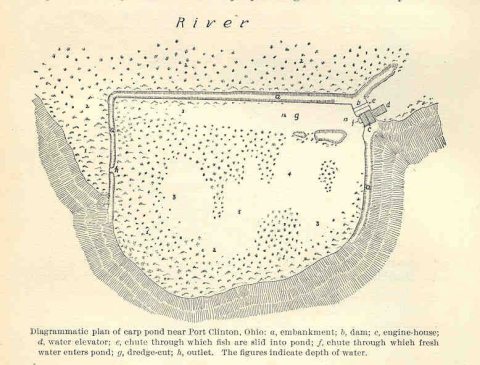 FMIB 33728 Diagrammatic Plan of Carp Pond Near