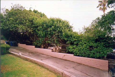 Lemon Grove, CA, USA - panoramio (2)