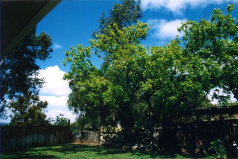 Lemon Grove, CA, USA - panoramio - Mountain Mike Johans…
