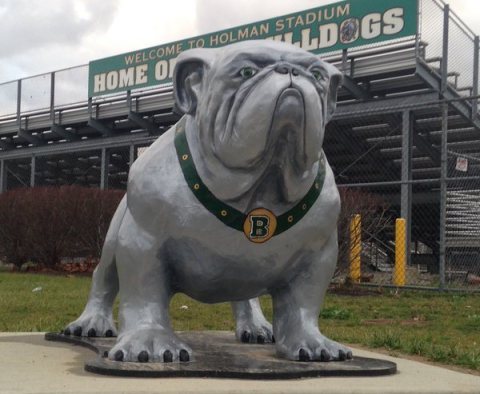Batavia Bulldog Mascot outside of Holman Stadium