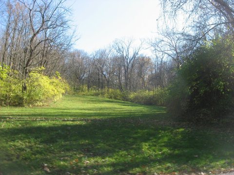 Woods with the Benham Mound