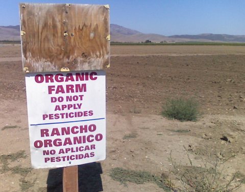 Organicfarmsoledad (cropped)